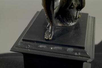 Go to image 7.