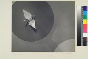 Paper Bird