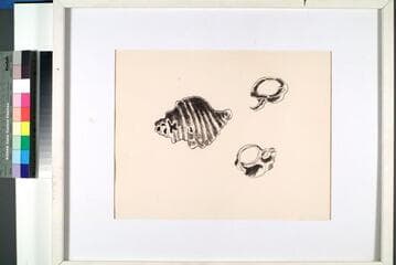 Go to image 2.