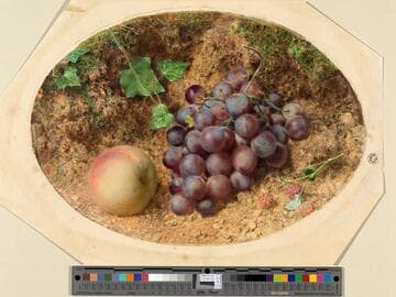 Peach and Grapes