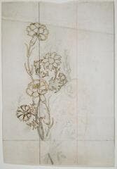 Go to image 2.