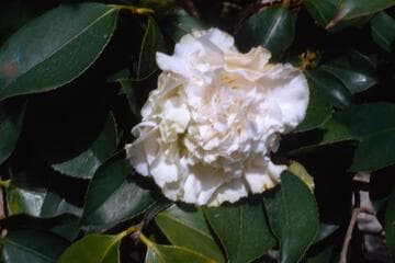 Go to image 3.