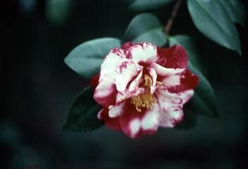 Go to image 7.