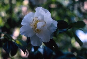 Go to image 3.