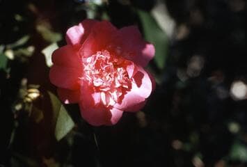 Go to image 2.