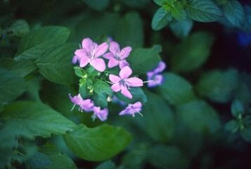 Go to image 4.