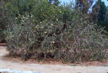 Go to image 7.