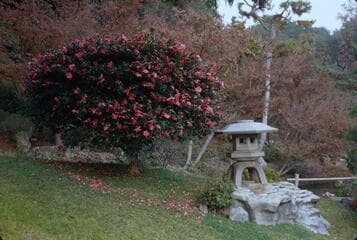 Go to image 7.