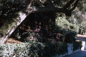 Go to image 5.