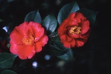Go to image 3.