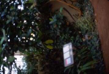 Go to image 15.