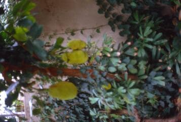 Go to image 11.