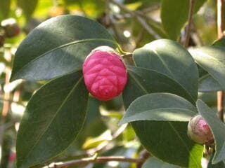 Go to image 2.