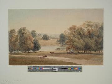 River Scene