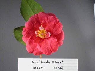 Go to image 1.