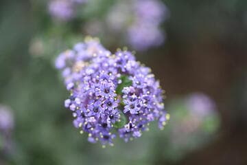 Go to image 10.