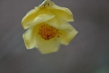 Go to image 7.