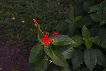 Go to image 8.
