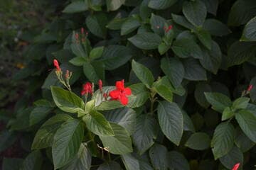 Go to image 7.