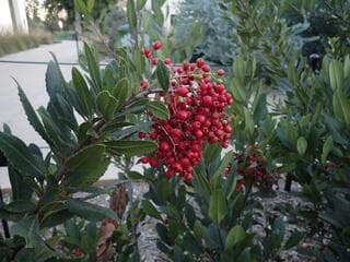 Go to image 2.