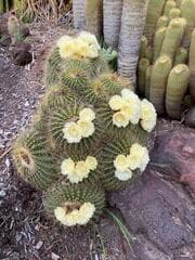 Go to image 2.