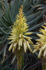 Go to image 7.