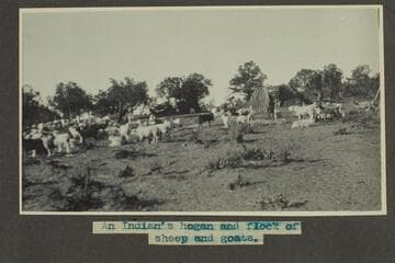 Zahn trip to San Juan placers in a Franklin car. An Indian's hogan and flock of sheep and goats