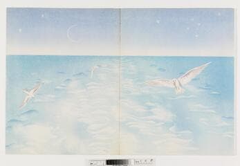 Go to image 2.
