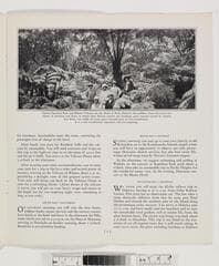Go to image 6.