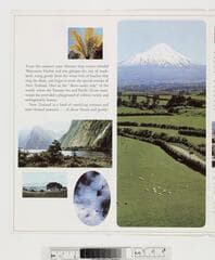 Go to image 9.