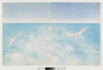 Go to image 2.