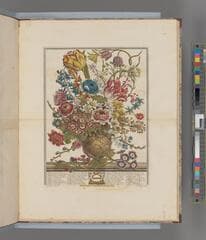 Go to image 4.