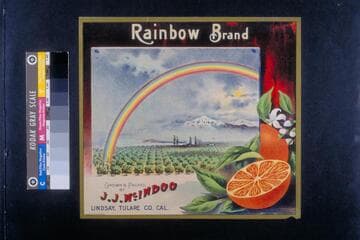 Rainbow brand