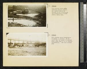 Go to image 16.