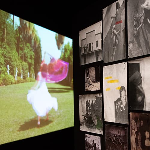 View of Carolina Caycedo's artwork