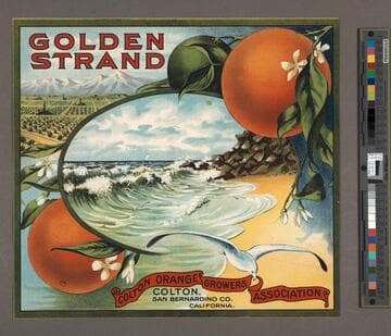 Golden Strand