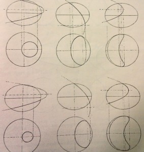 Volterra_Diagrams Volterra egg diagrams